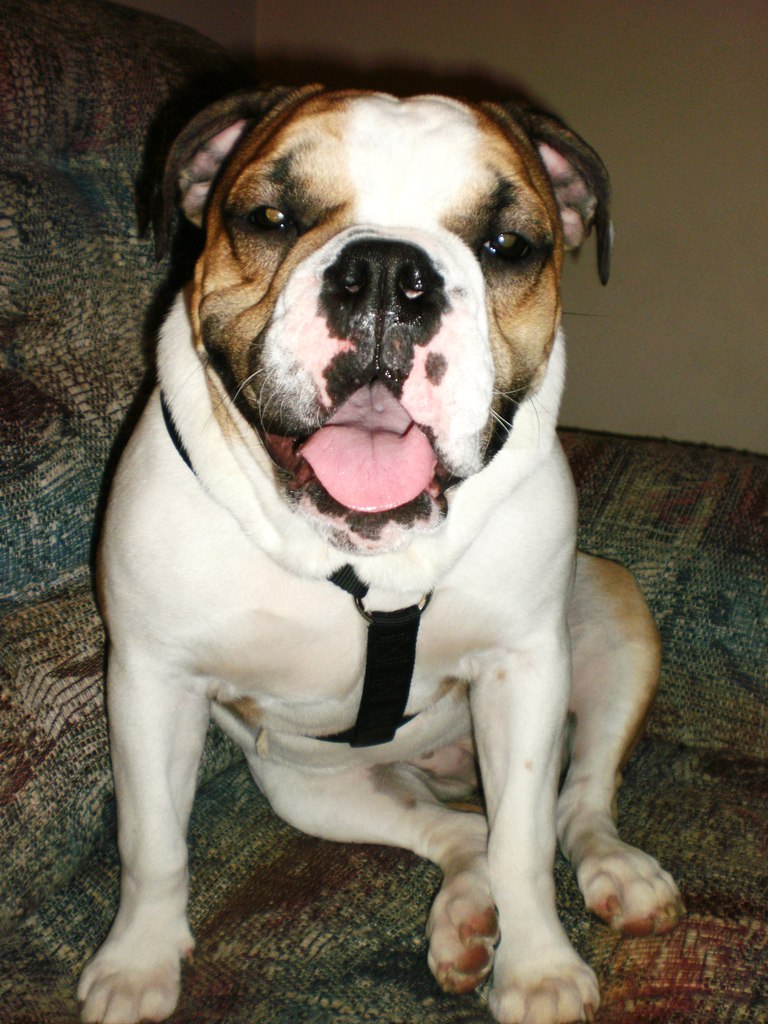 Tatiana Shvydkova | Wallingford