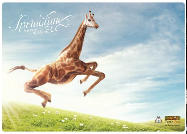 №118, Екатерина Гулая, 43 года, Киев №118, Екатерина Гулая, 43 года, Киев