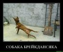 №18 Никитка Воробей 17.01: профиль, фото, статус - ВКонтакте №18 Никитка Воробей 17.01: профиль, фото, статус - ВКонтакте