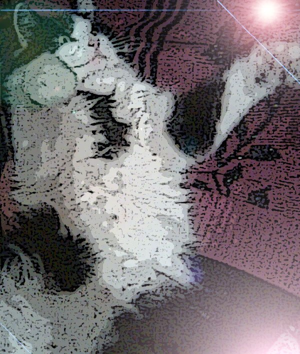 Юлия Лазарева | Запорожье