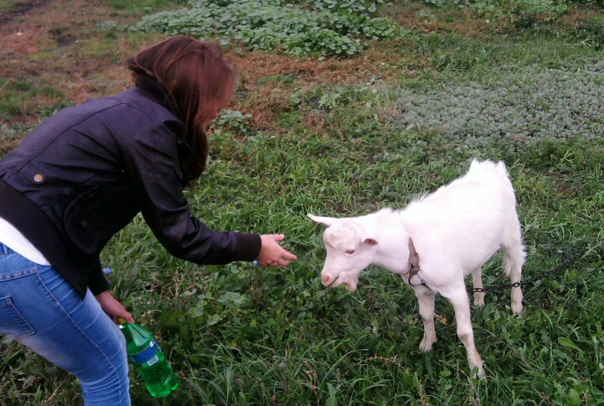 Олеся Ларгина | Самара