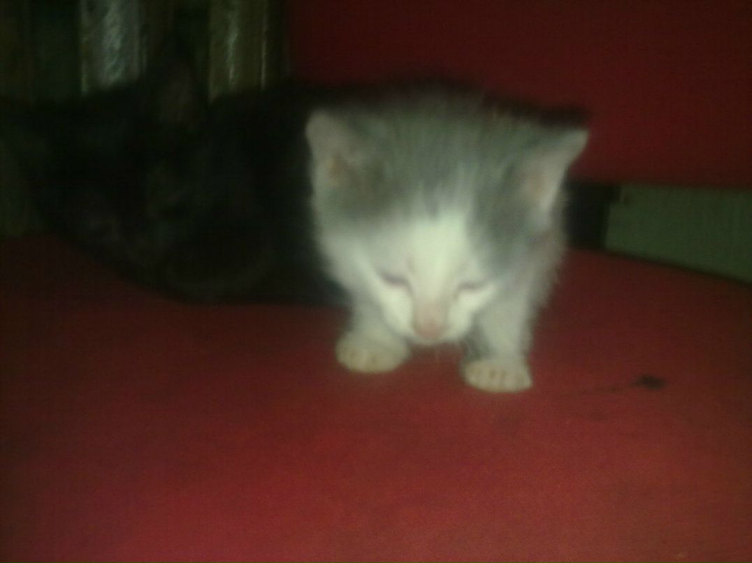 Михаил Стрельников KEHT89 | 