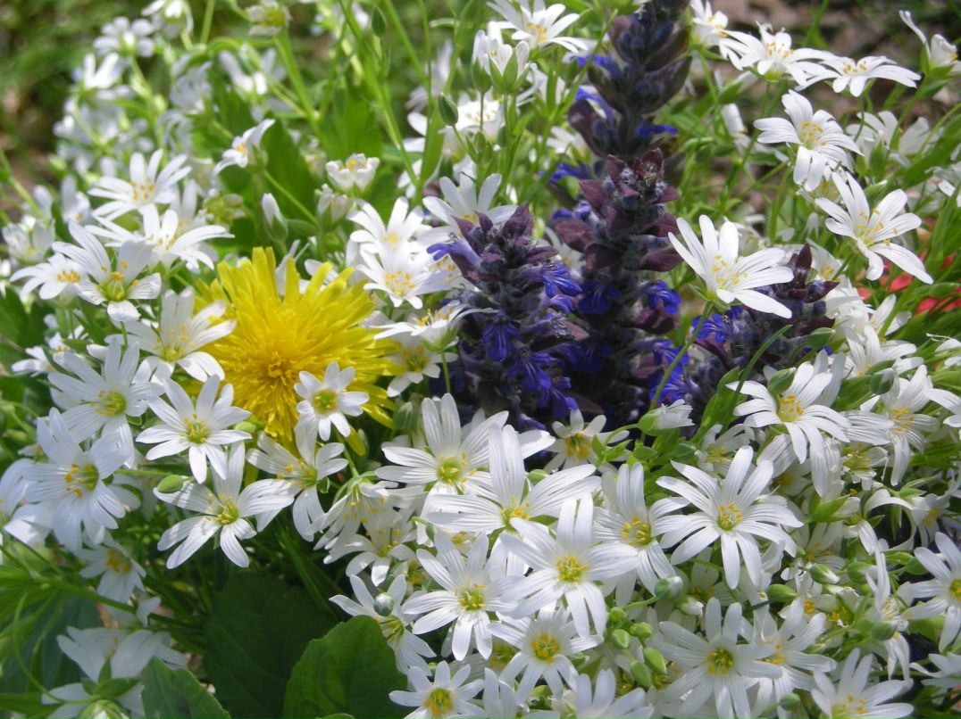 Ірина Ренкас | Киев