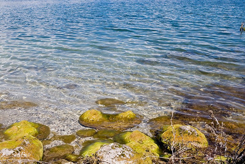 Omar Hasan NuHuN | Москва