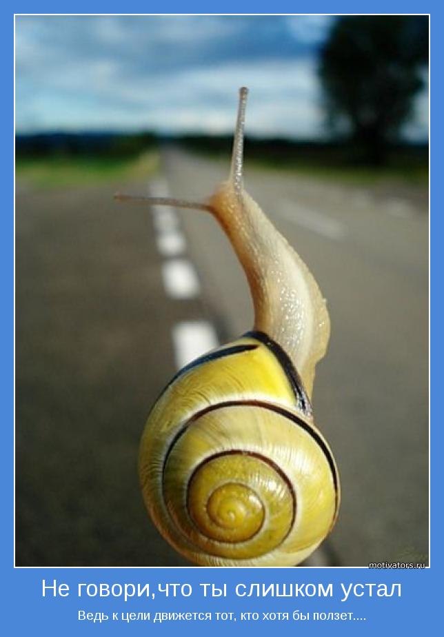 Светлана Осипцова Александровна ॐ | Николаев