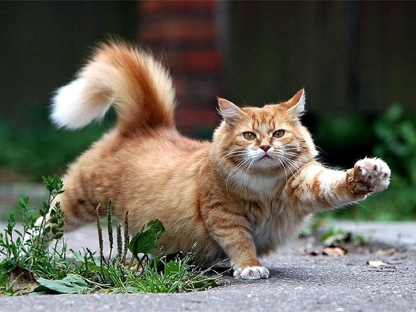 Костян Рощин | Магнитогорск