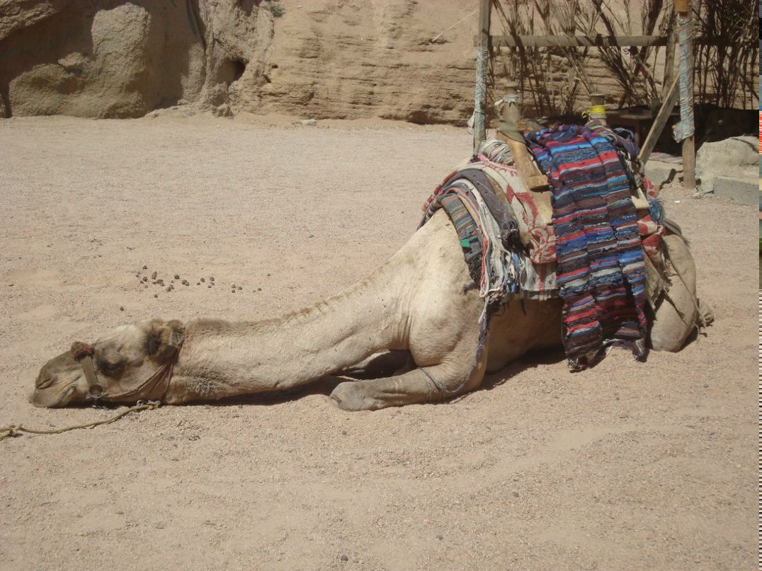 Ян Романюк | Одесса