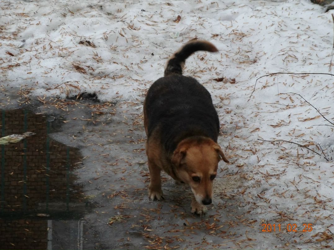 Коля Палена | Киев