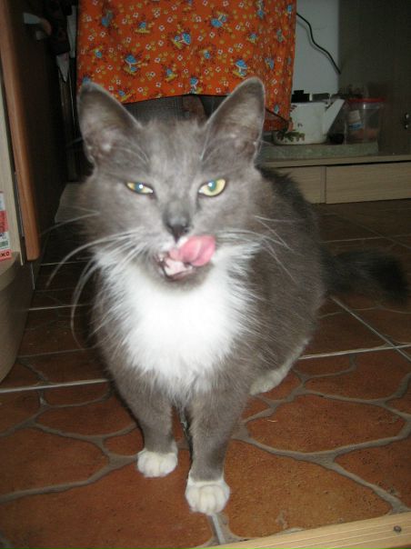 №5, Анастасия Нарышкина, Ярославль, Россия №5, Анастасия Нарышкина, Ярославль, Россия