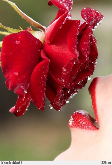 №45, Алёна Ситникова, 7.6, Ульяновск №45, Алёна Ситникова, 7.6, Ульяновск