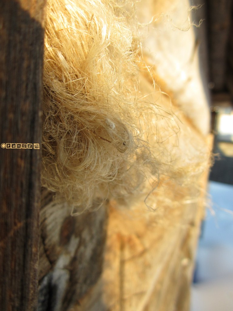 Максим Бронников | Ижевск