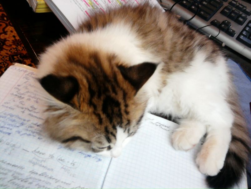 №152, Александра Быватова, Владивосток №152, Александра Быватова, Владивосток