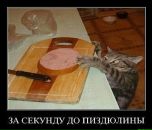 №16 Слава Назарофф : профиль, фото, статус - ВКонтакте