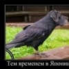 Аватар: Igor Lizun