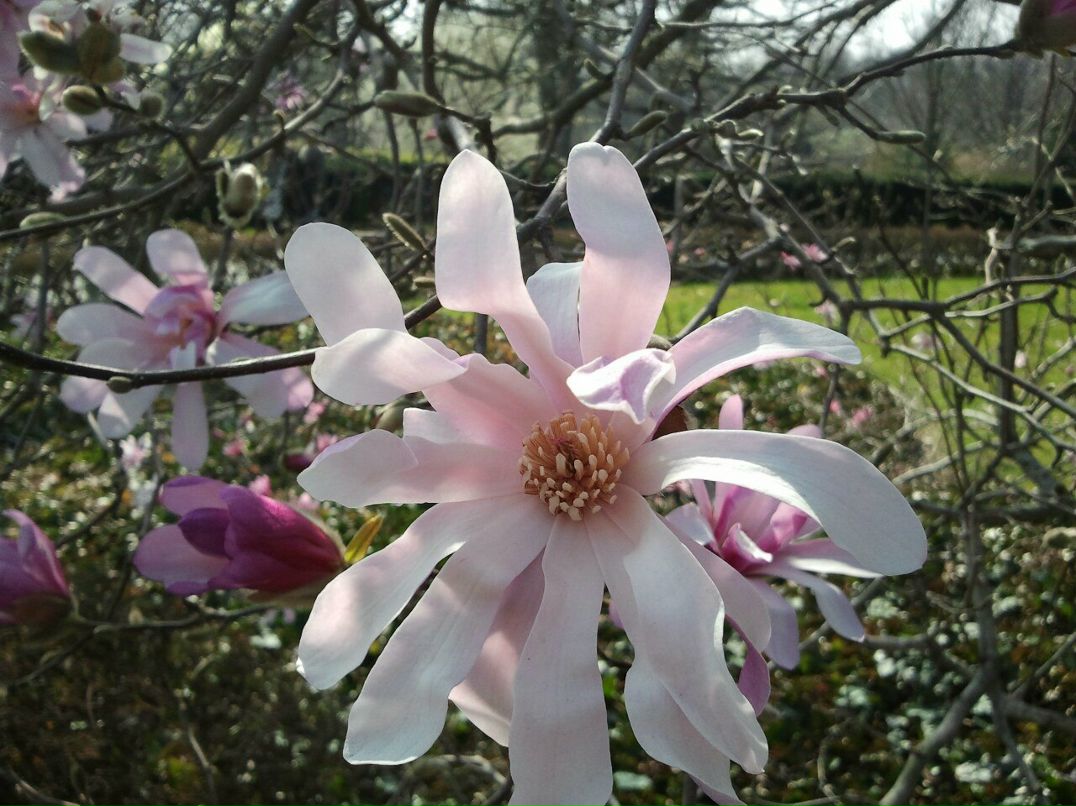 Игорь Панов | Santo Domingo