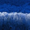 Аватар: Подружки Нюшки.