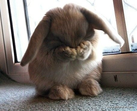 Ирина Лавриненко | Одесса