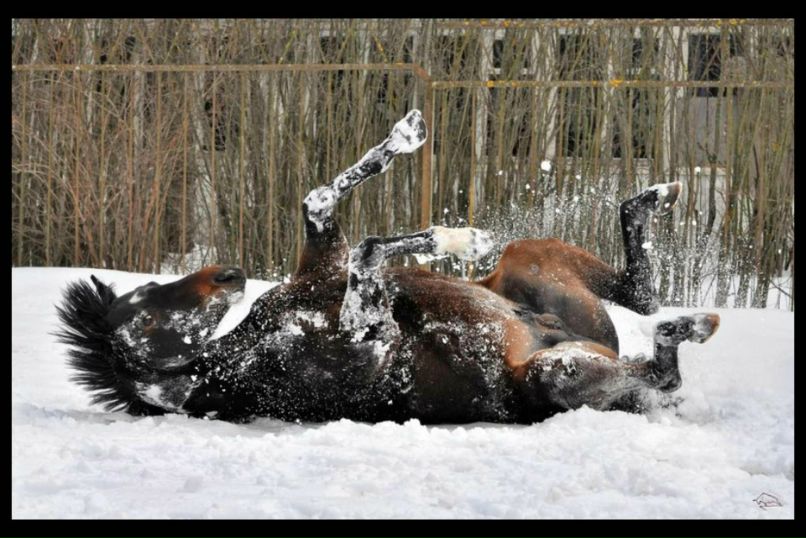 Ирина Соболева-Бурмистрова Figurka:) | Москва