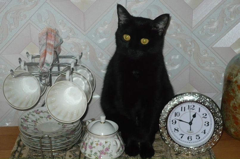 Элла Нечаева | Уфа