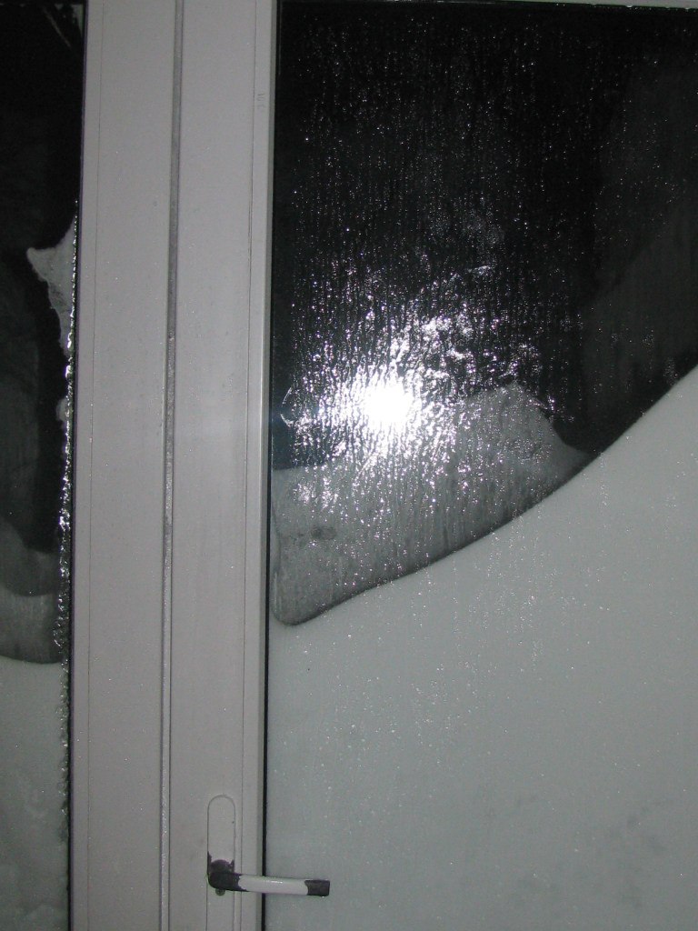 Миша Шорин | Николаев