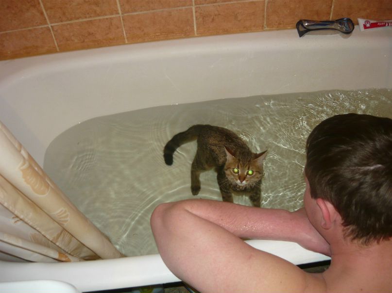 Дениска Округин | Екатеринбург