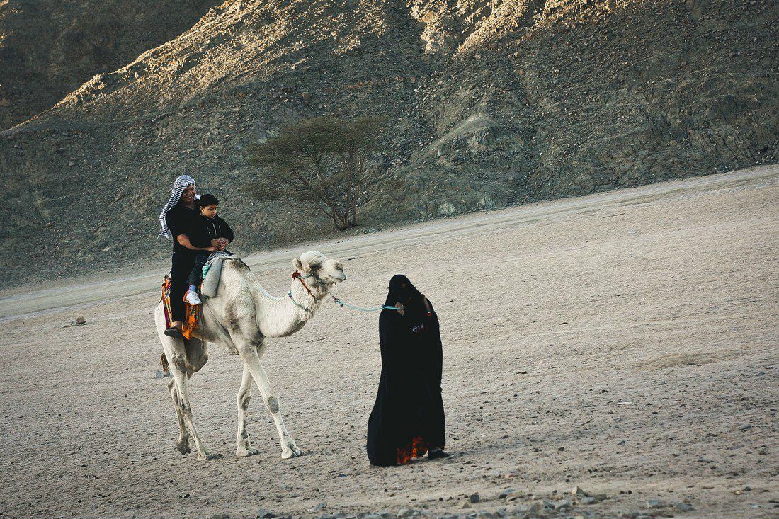 Павел Навоев | Минск
