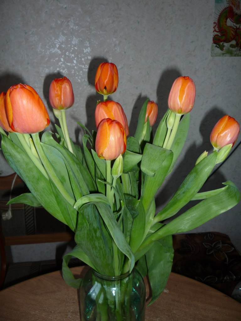 Марина Буланова | Мирный