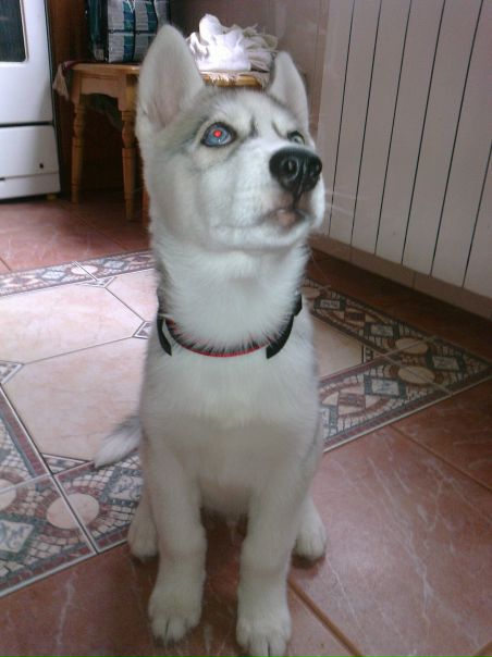 №106, Макс Пешков, 40 лет, Киев №106, Макс Пешков, 40 лет, Киев