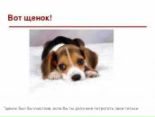 №4, Константин Суслов, 27.10.1986, 39 лет, Москва, Россия