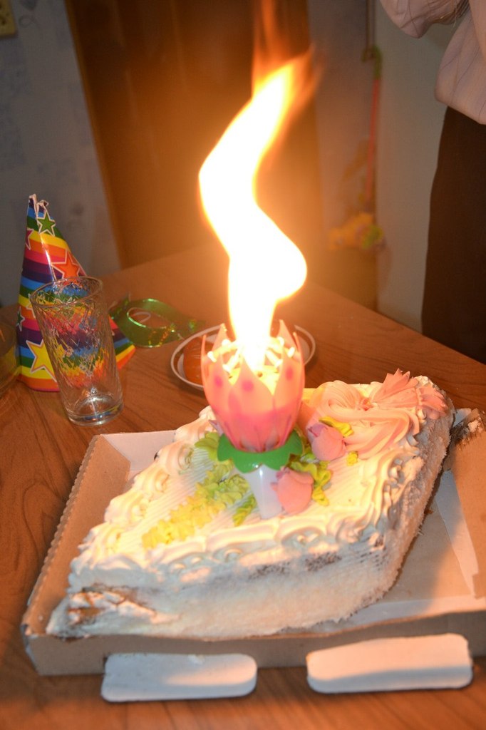 Елена Маланчева | Чебоксары