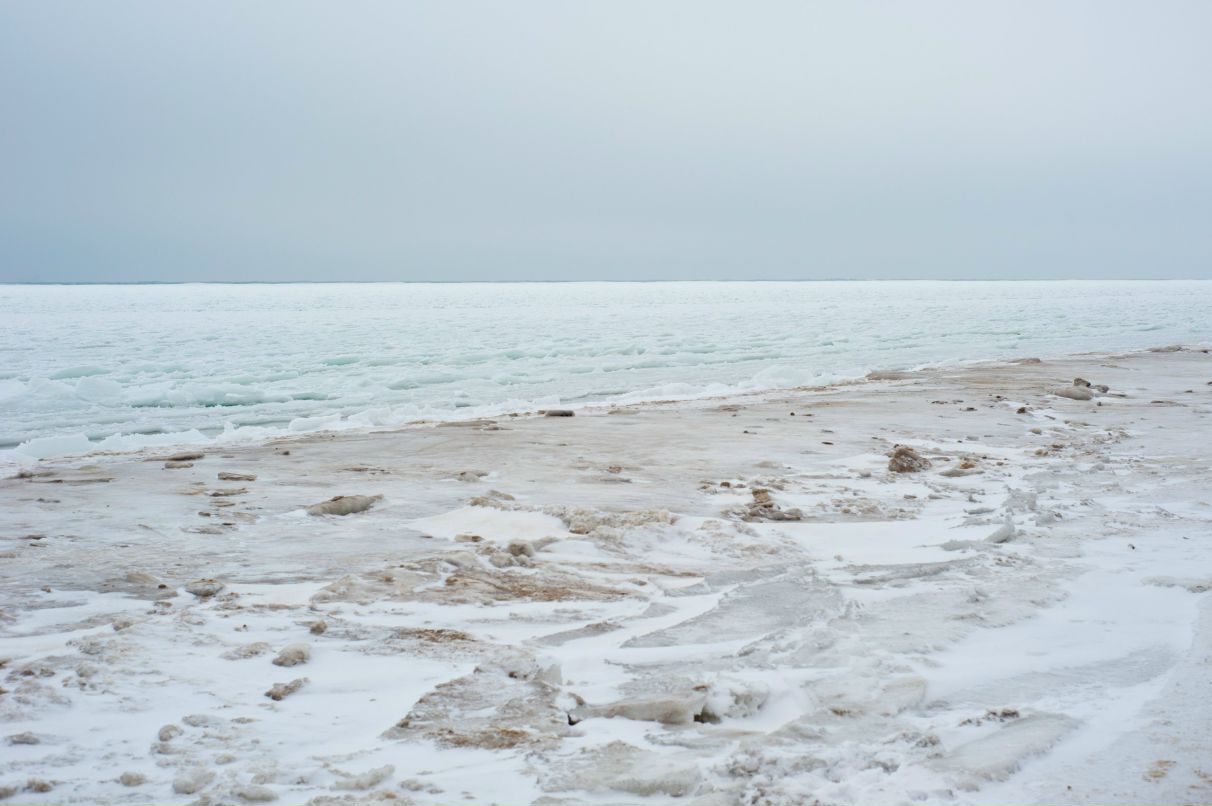 Дмитрий Гайсюк | Одесса