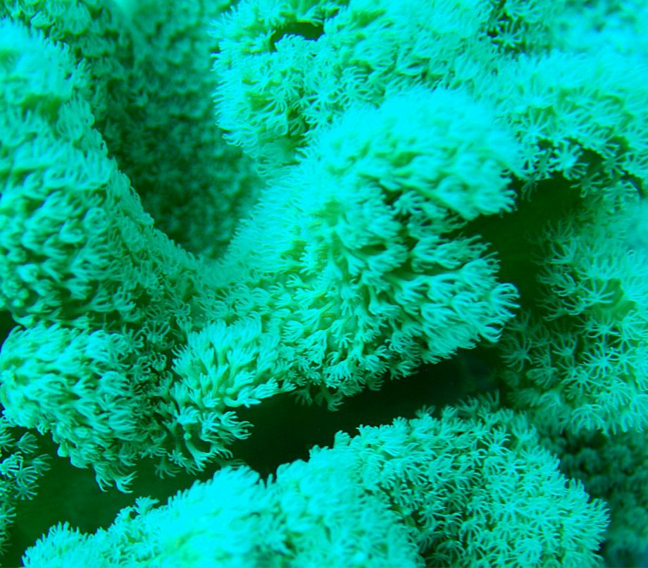 Иван Смирнов | Москва