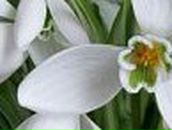 Елена Зверева | Ессентуки