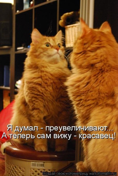 Денис Денисыч | Липецк