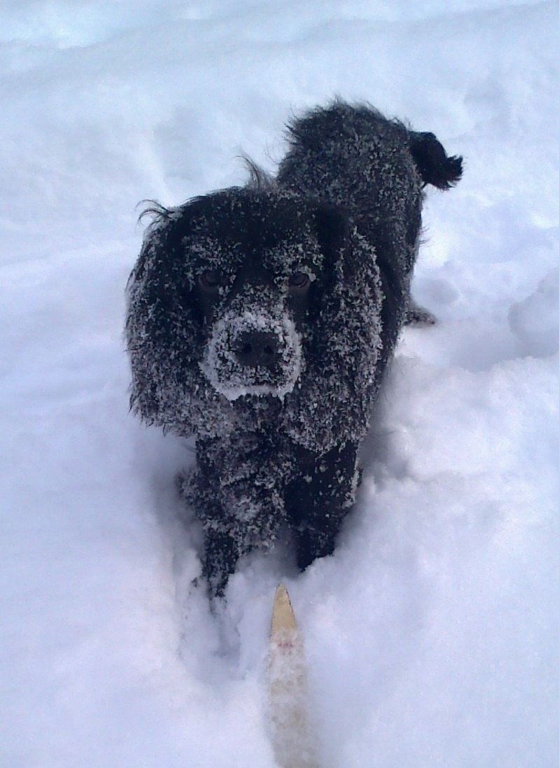 Дима Кузнецов | Тейково