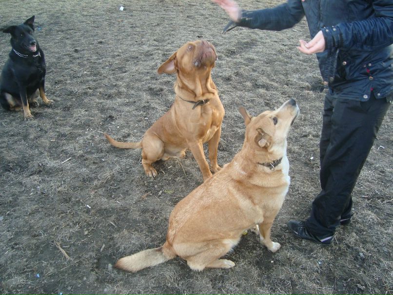 Паша Кузнецов | Санкт-Петербург