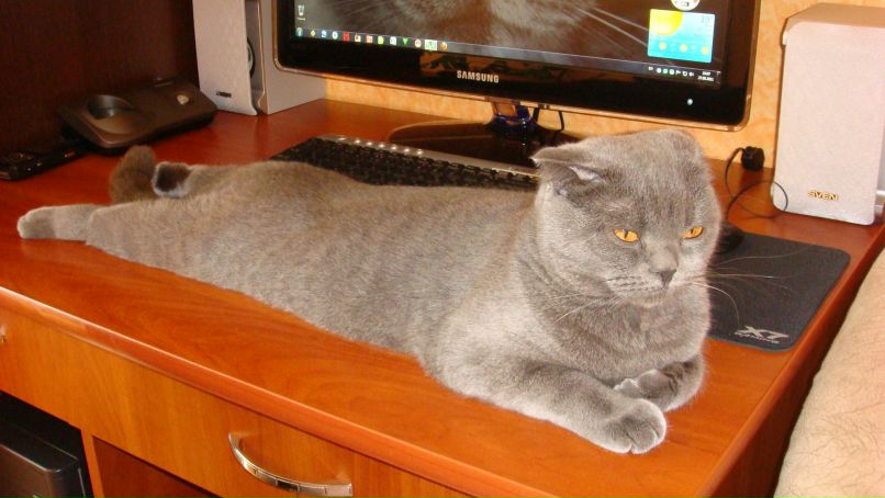 Анна Рябченко | 