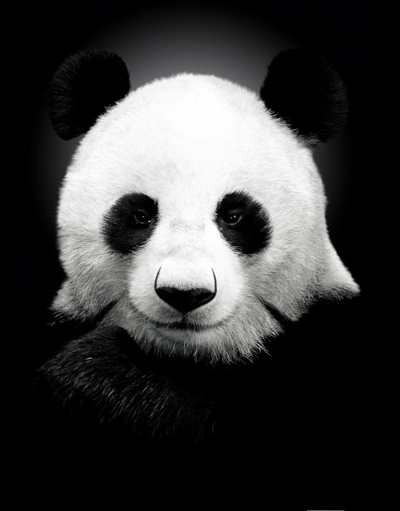 Руслан Алеев | Пенза