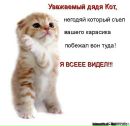 Фотография Алекс Тим
