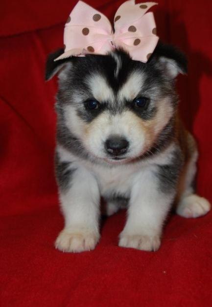 Юля Марьянова | Хмельницкий