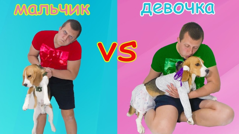 МАЛЬЧИК против ДЕВОЧКИ. ЩЕНОК ШЕРЛОК vs