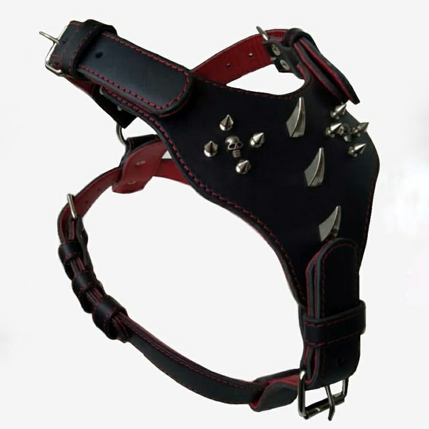 аркон шлейка питбуль. шлейка кожаная для мелких собак. шлейка buddy 40-52. кожаная шлейка для маленьких собак. шлейка кожаная "белла" обх.