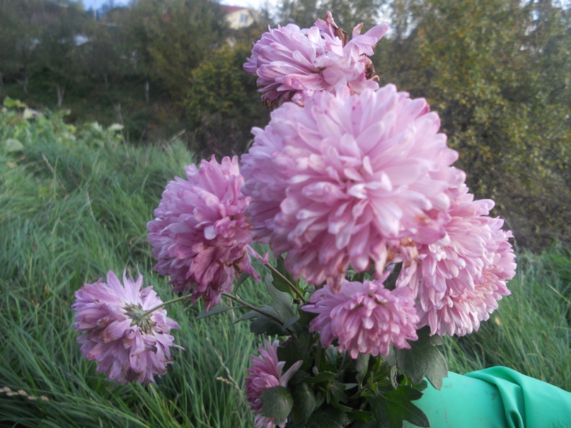 Людмила Винокурова | Москва