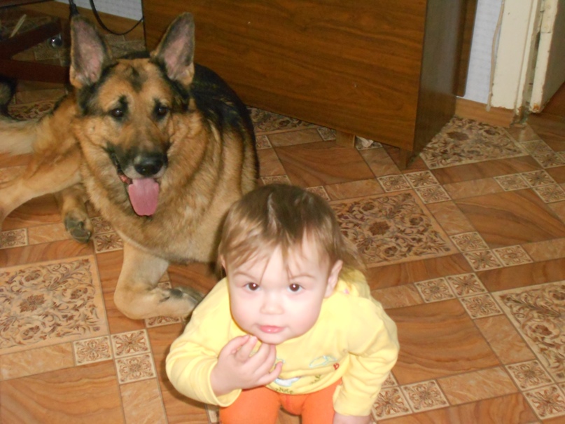 Павел Максимов | Шира