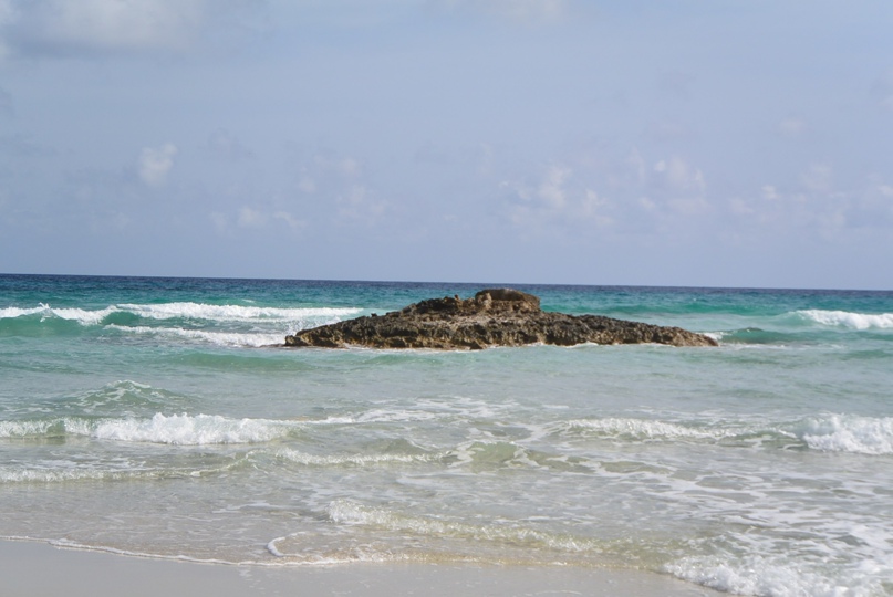 Денис Сущёв | Мытищи