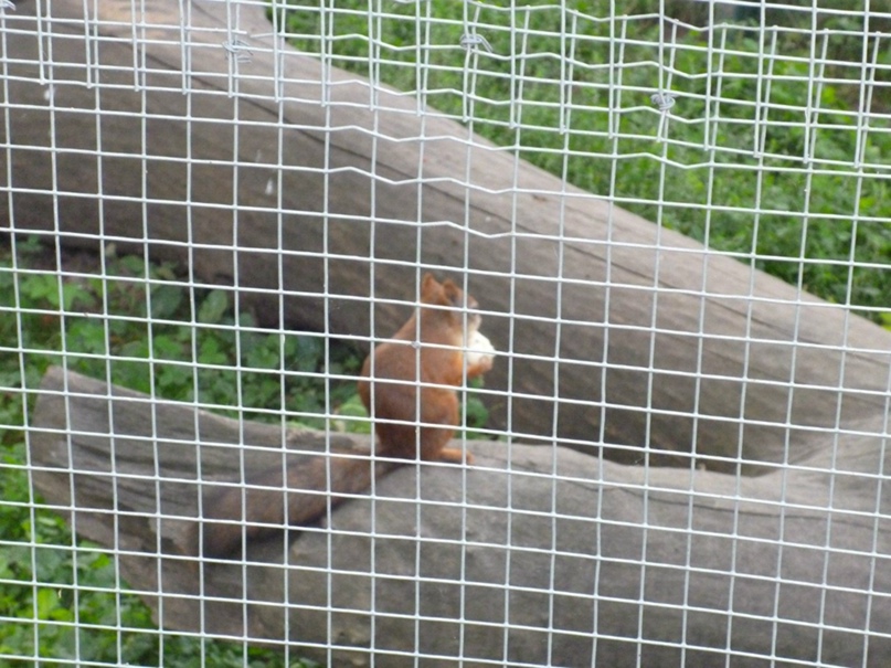 Мария Кононенко | Псков