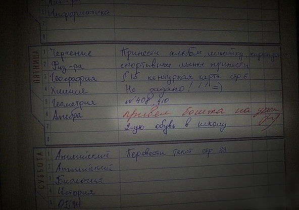 Наталья Соломонова |