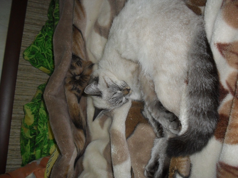 Екатерина Владимирова | Воткинск