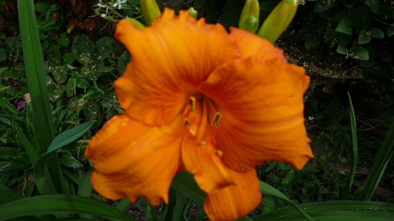 Наталья Илькина | Воткинск