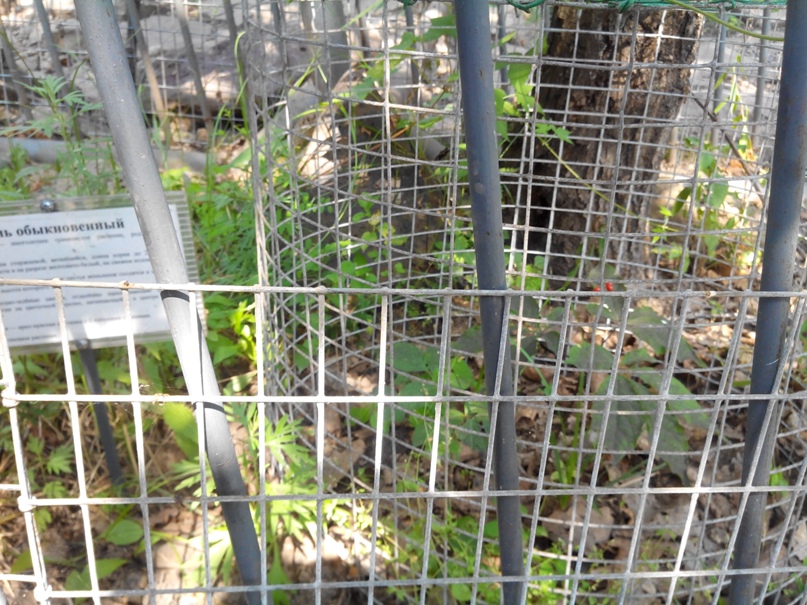 Виктор Усачев Владимирович | Санкт-Петербург